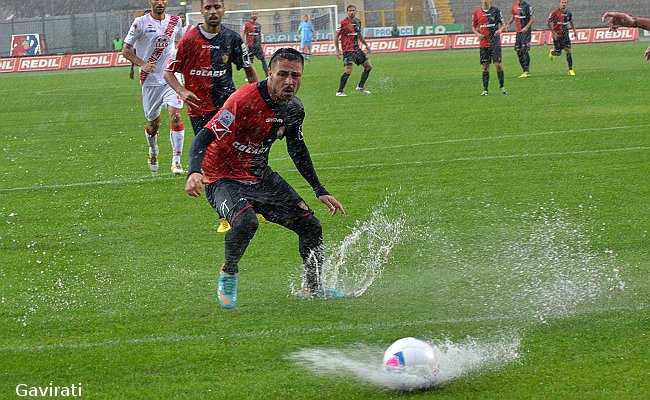 Caccavallo in azione