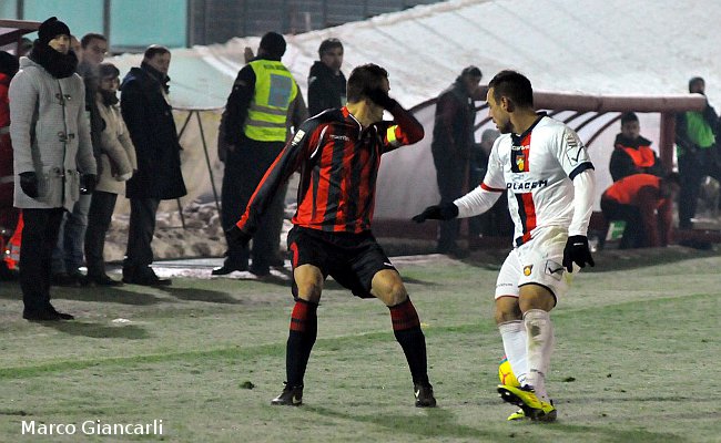 Carcione e Falconieri