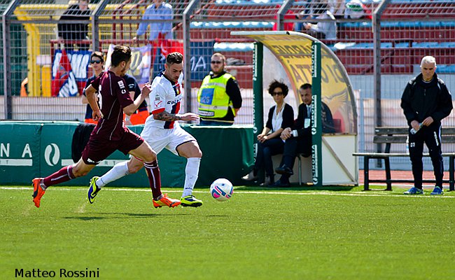 Falconieri in azione