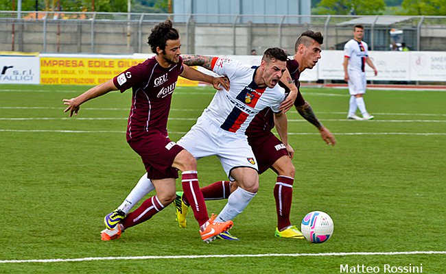 Falconieri in azione