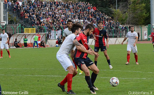 Ferri Marini e Palazzi