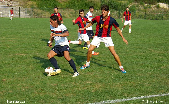 Titone in azione