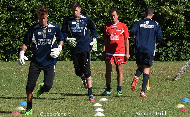 Volpe, Secco e Pascolini